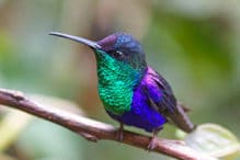 Parque Nacional Yasun Una Gu A Para Visitantes De Yasun Ecuador