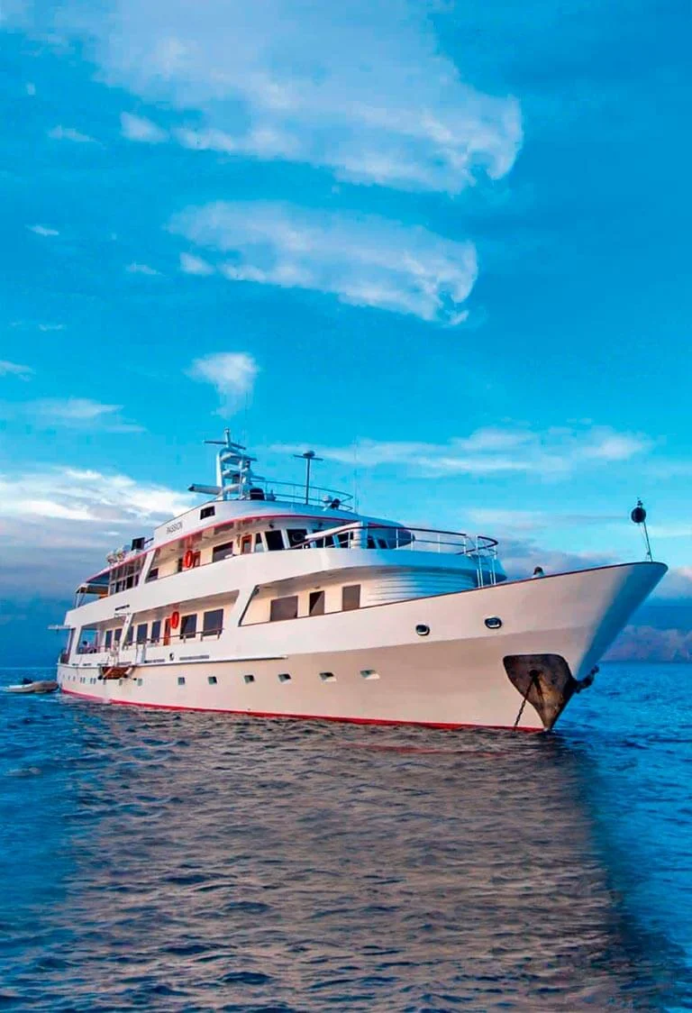 Galapagos Cruises charter