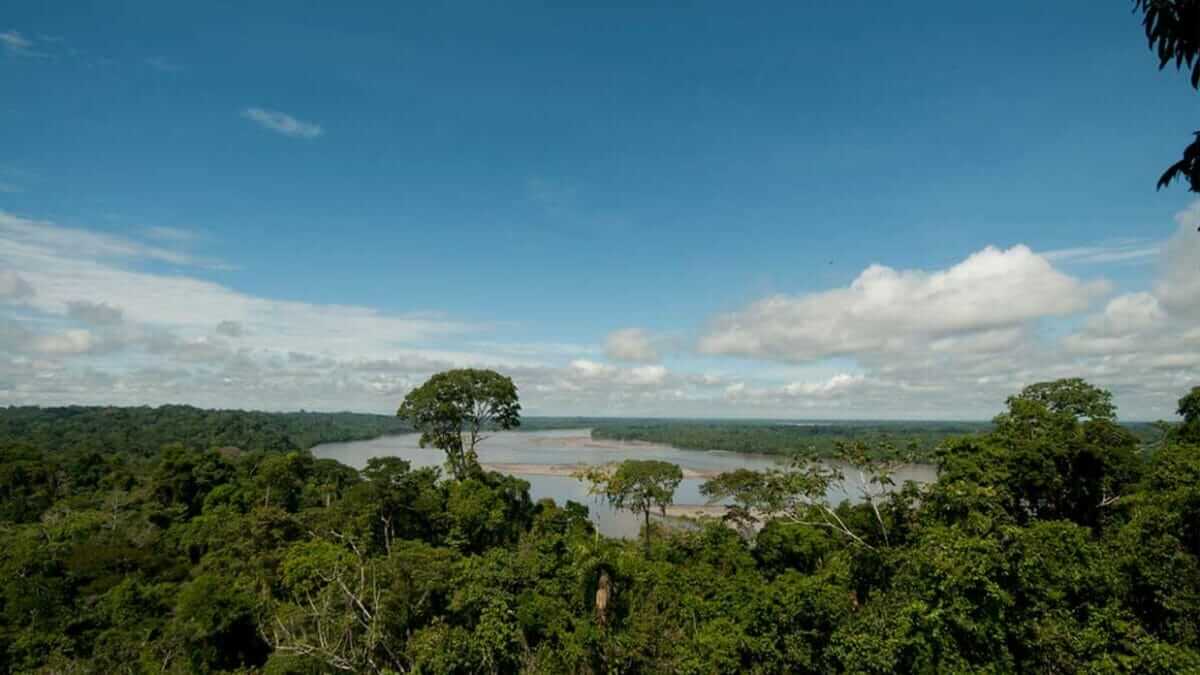 Parque Nacional Yasun Una Gu A Para Visitantes De Yasun Ecuador