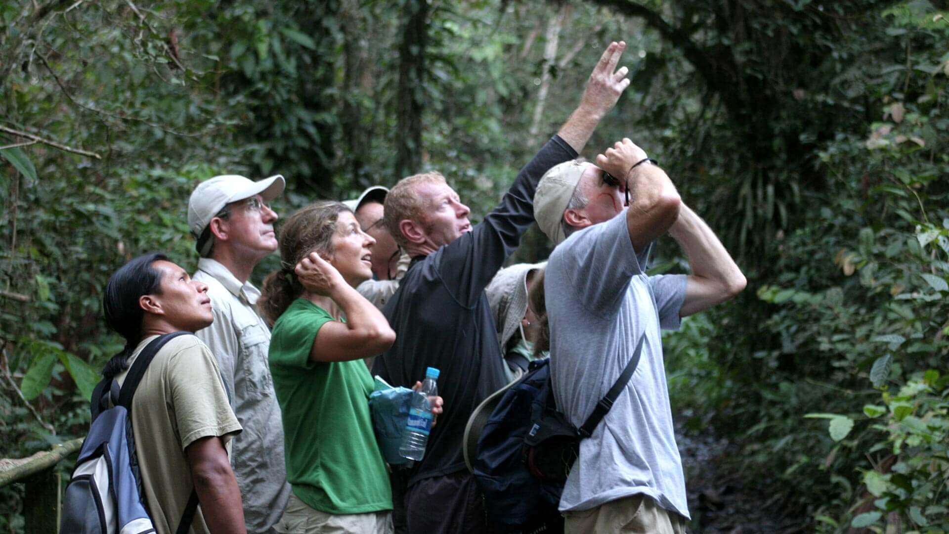 Los turistas disfrutan de la observación de aves desde los senderos de Sacha Lodge - Ecuador Amazon Rainforest