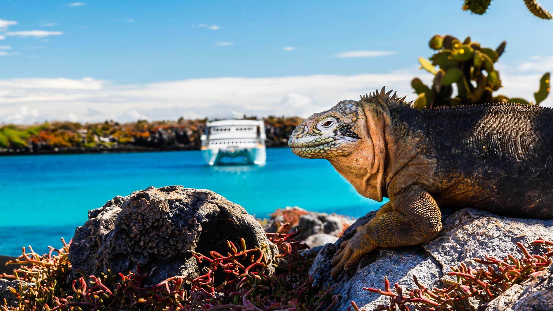 Galapagos-Kreuzfahrten