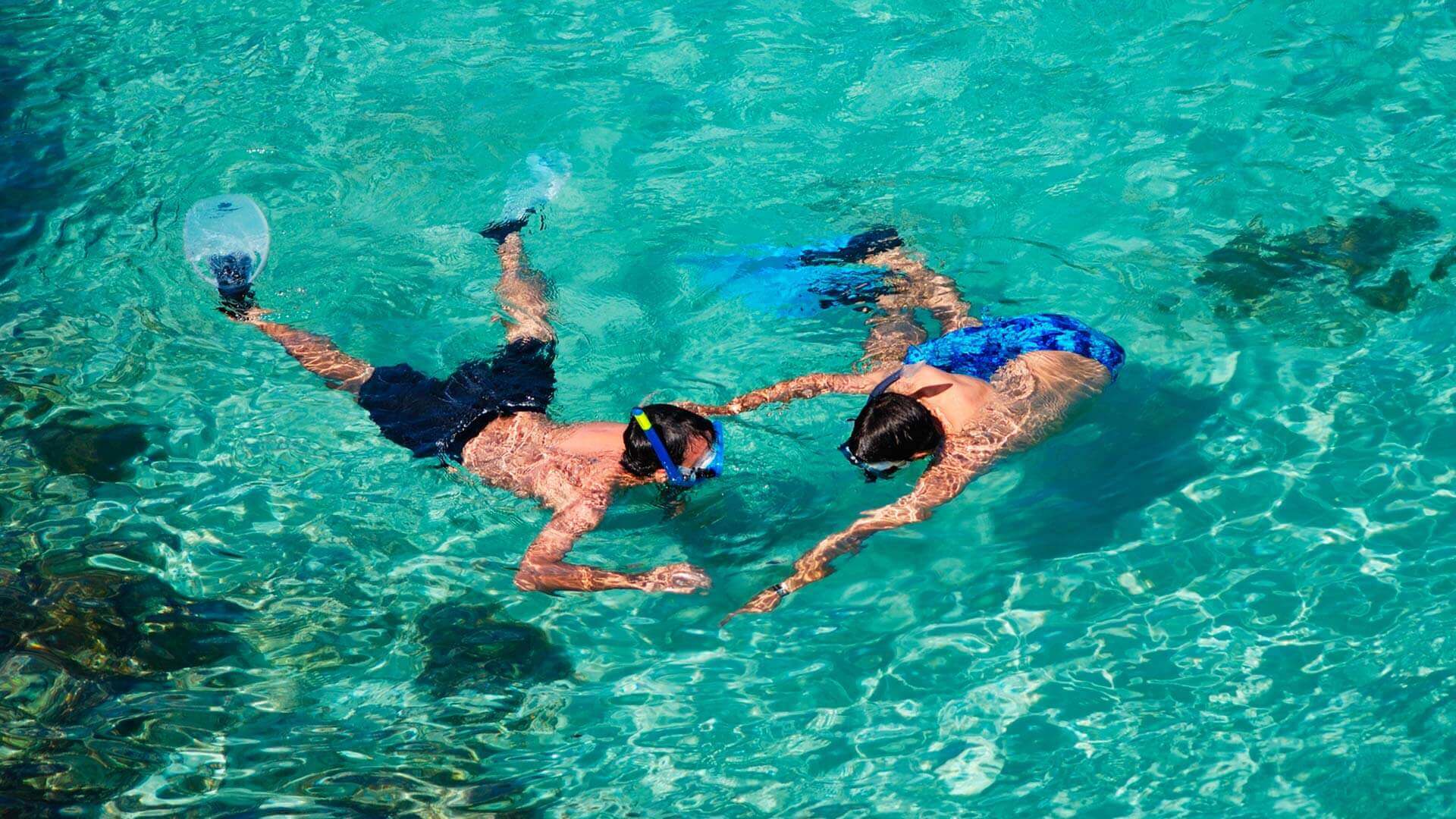 galapagos islands land tours snorkeling