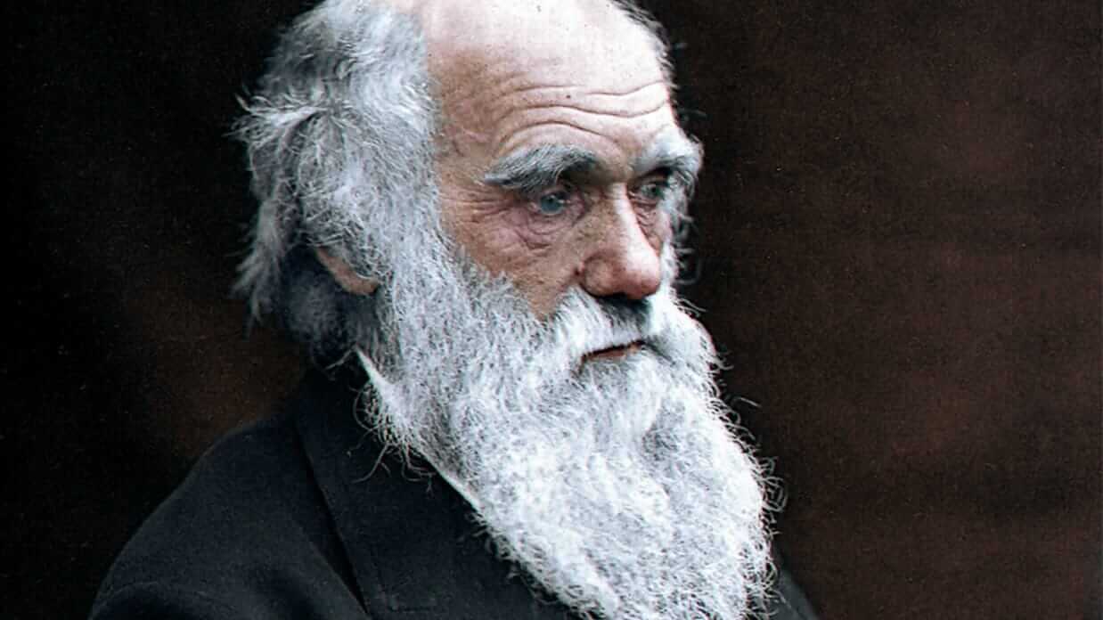Portrait of Charles Darwin in old age with long white beard looking thoughtful