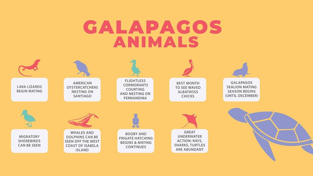 galapagos islands weather in july