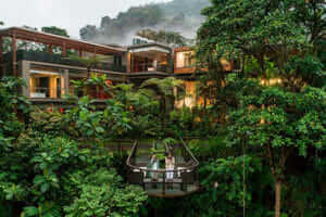 two tourists take photos of the cloudforest from lookout at mashpi lodge ecuador