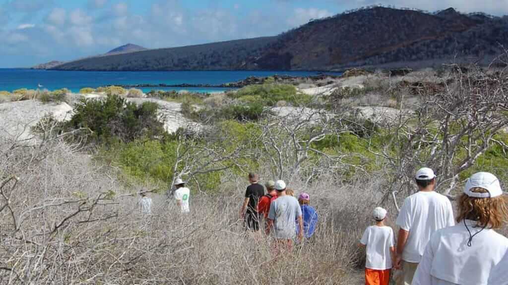 tourists on a guided trek at the galapagos islands