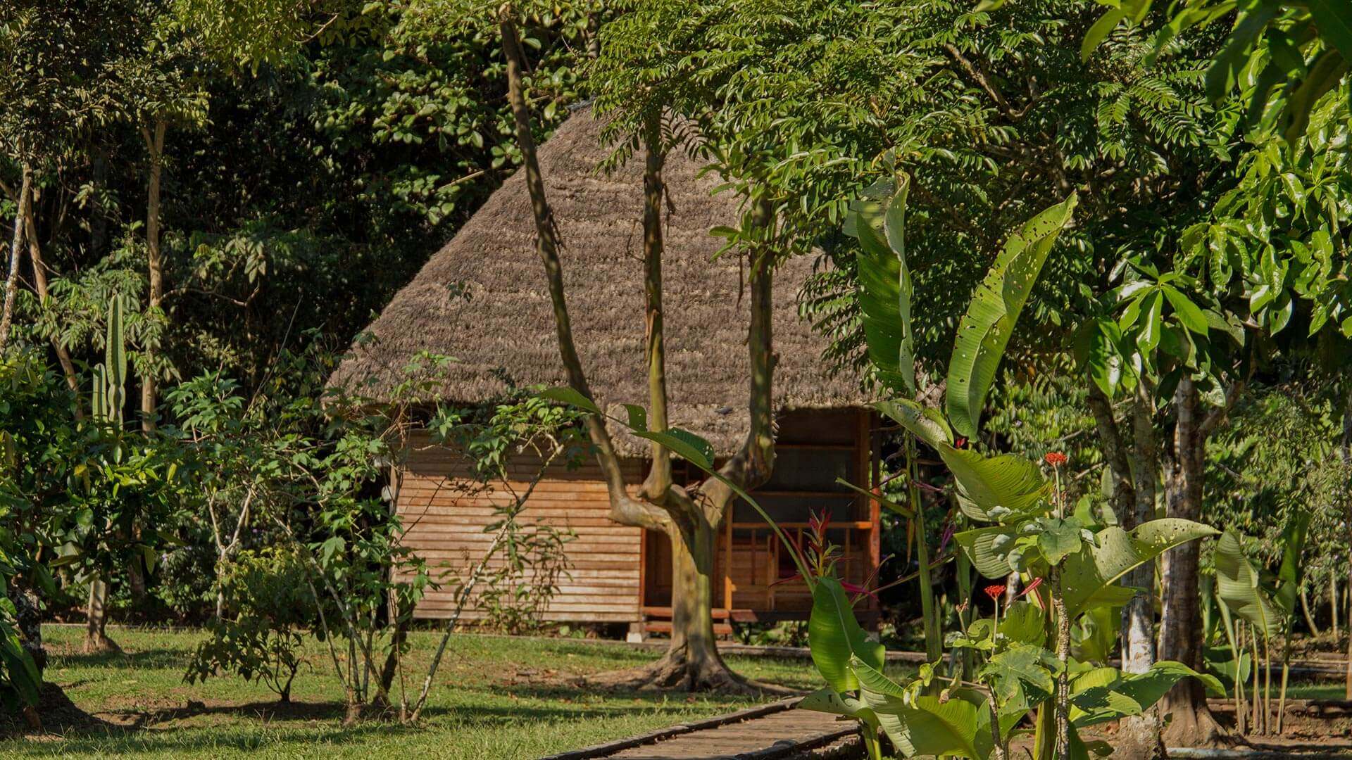Amazone Sani Lodge