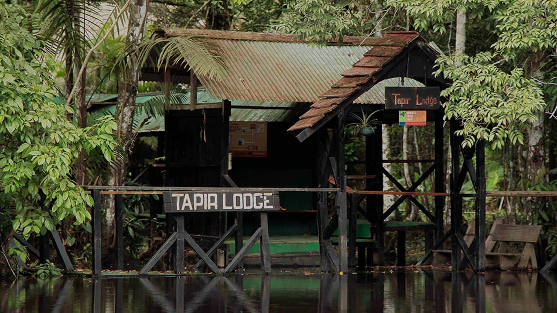 Amazone Tapir Lodge