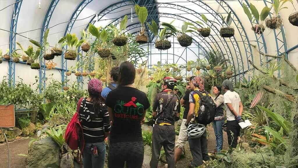 tour al jardín botánico de quito ecuador