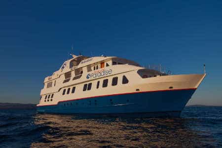 Seitenansicht der Natural Paradise Yacht auf Galapagos