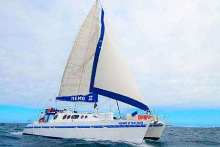 nemo 2 catamaran yacht with sails up at the galapagos islands