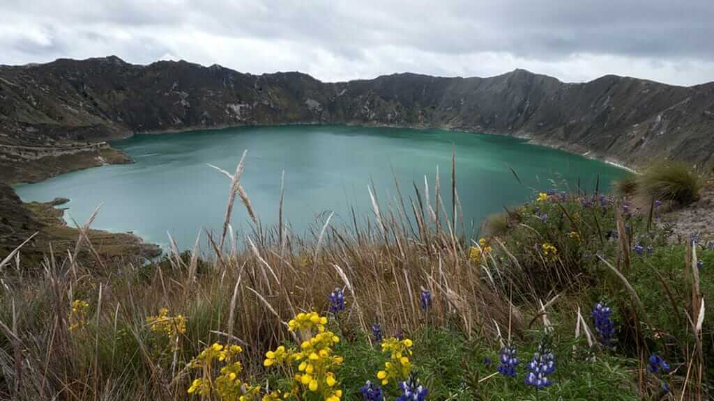Lago del cráter del Quilotoa Ecuador con flores