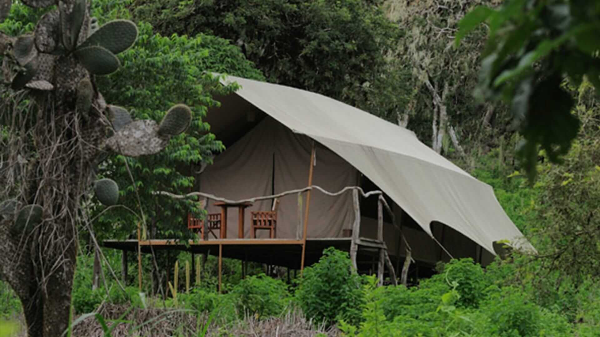 Safarikamp