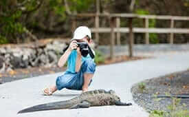 galapagos information - young tourist taking a photo of a galapagos marine iguana