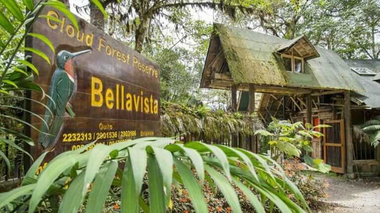 Bellavista Cloudforest Lodge | Happy Gringo Travel