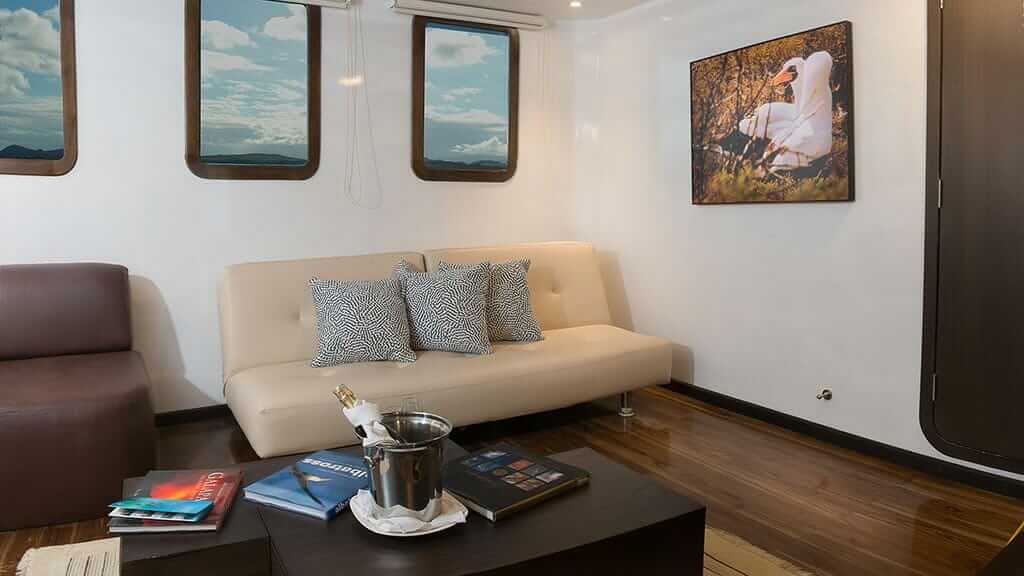 catamarán con cormorán yate crucero por las islas galápagos - sofá y área de lectura