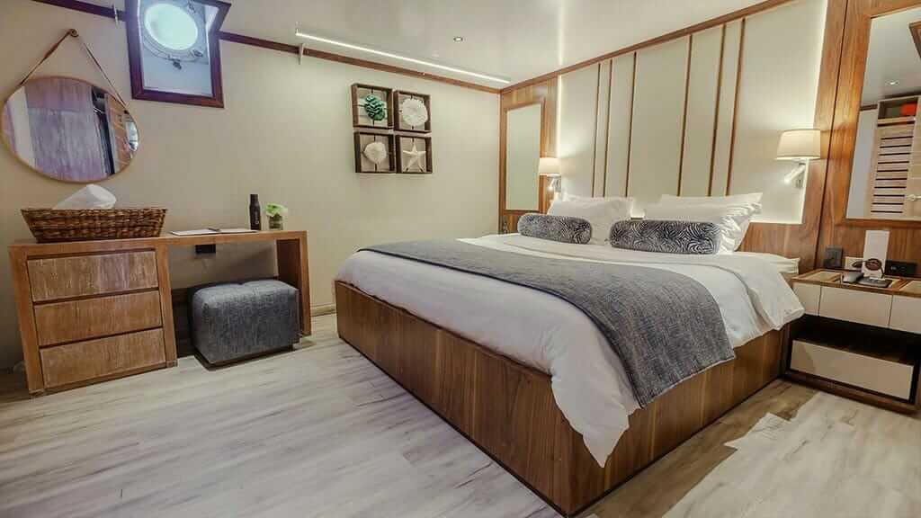 Evolution cruise ship Galapagos Island - spacious king bed guest cabin