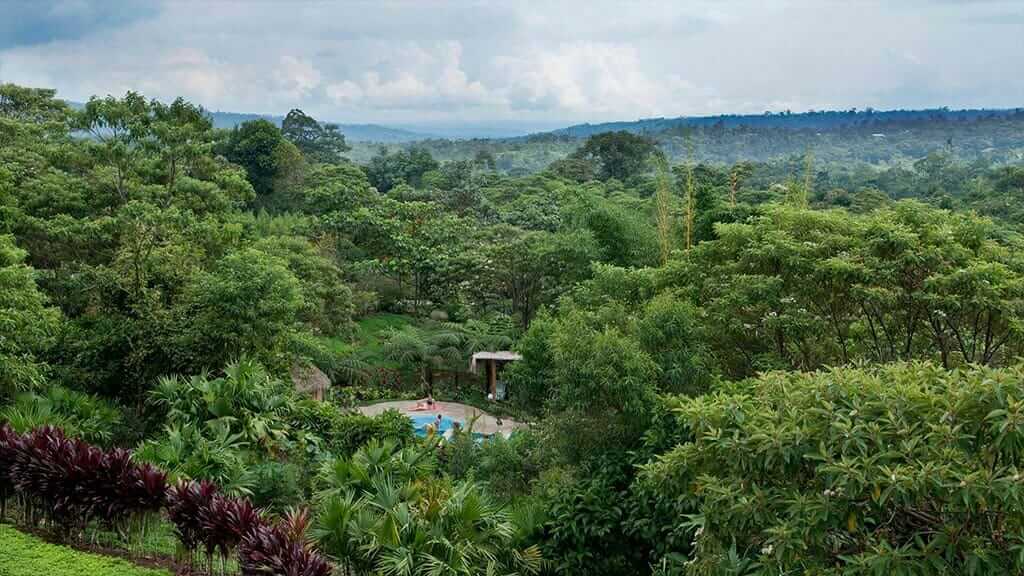 luchtfoto van het Huasquila Lodge-zwembad omgeven door groene bomen en jungle