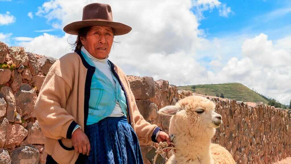 indigenous indian lady with llama in peru