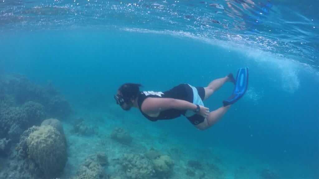 snorkel en el seymour norte en las islas galápagos