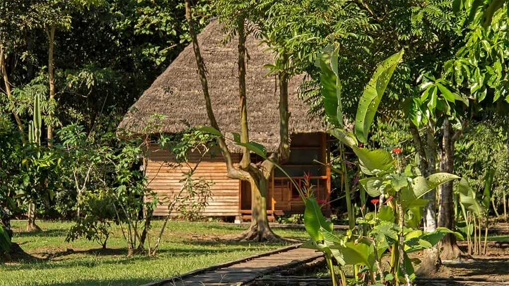 Cabaña rústica con techo de paja en Sani Lodge Ecuador rodeado de plantas de jardín de selva