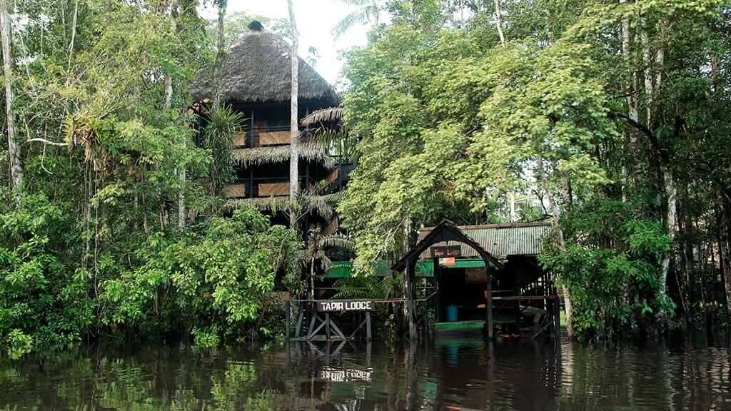 uitzicht op Tapir Lodge verborgen in de Amazone-jungle in Cuyabeno