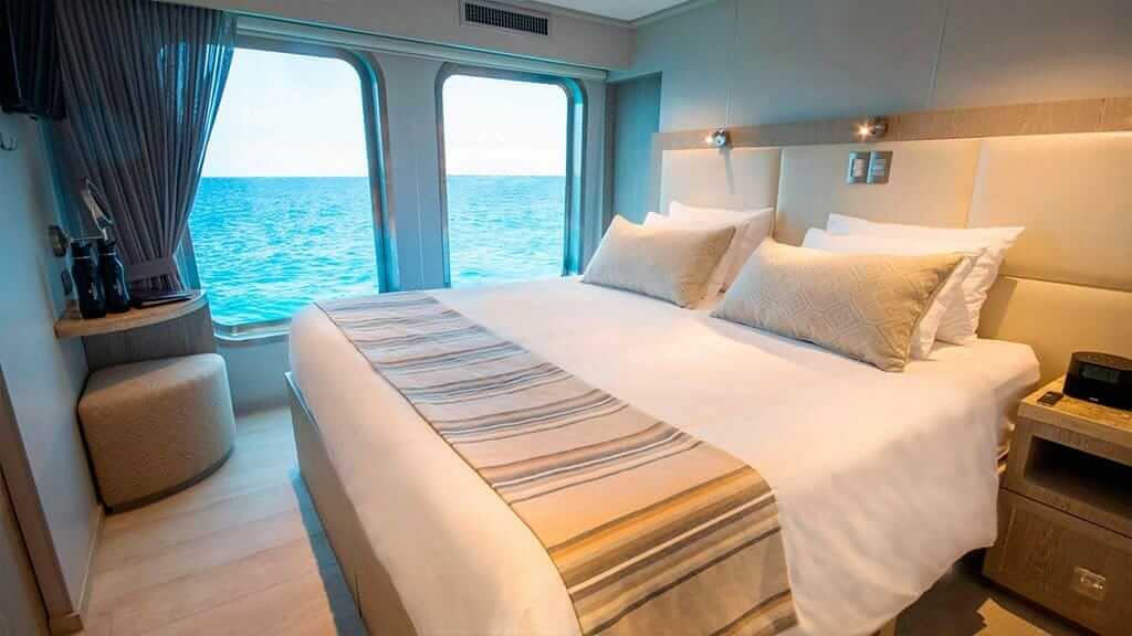 cabina doble con cama queen y grandes ventanales a bordo del crucero Theory Galápagos