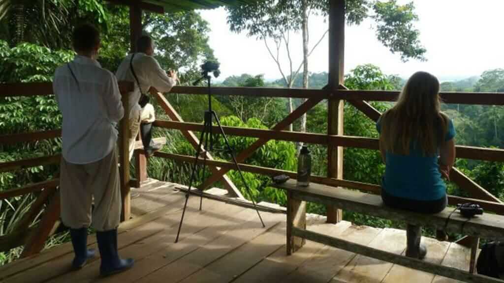Los turistas observan la vida silvestre de la selva desde la torre del dosel en Yarina Lodge Ecuador