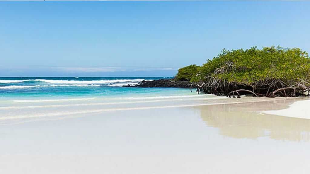 weißer Sand, klares Wasser und Mangroven am Galapagos-Strand der Tortuga Bay