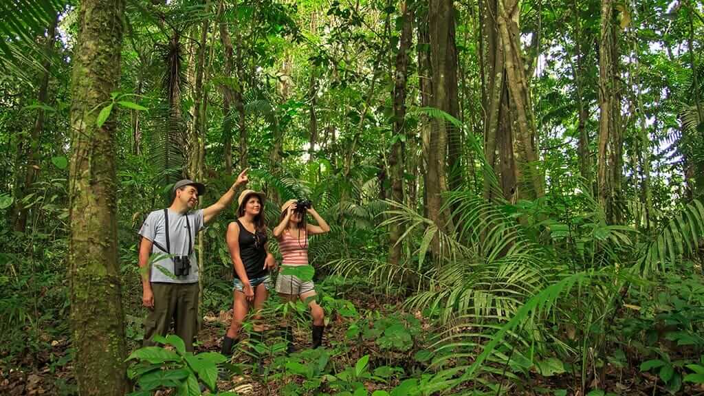 tourists exploring the amazon jungle on a guided trek