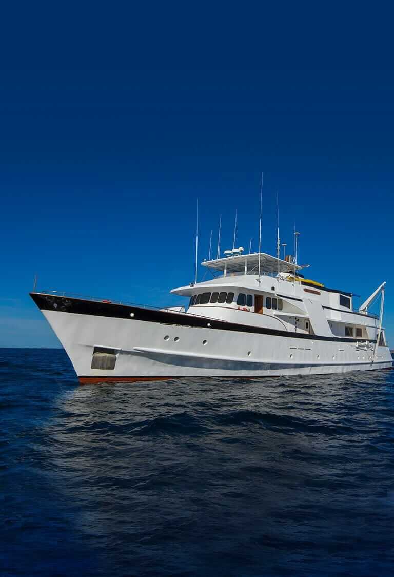 Beluga-Yacht