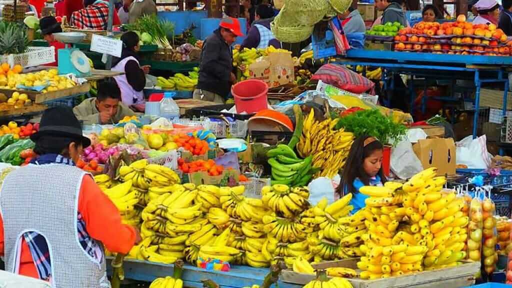 bananas at quito fruit market in ecuador