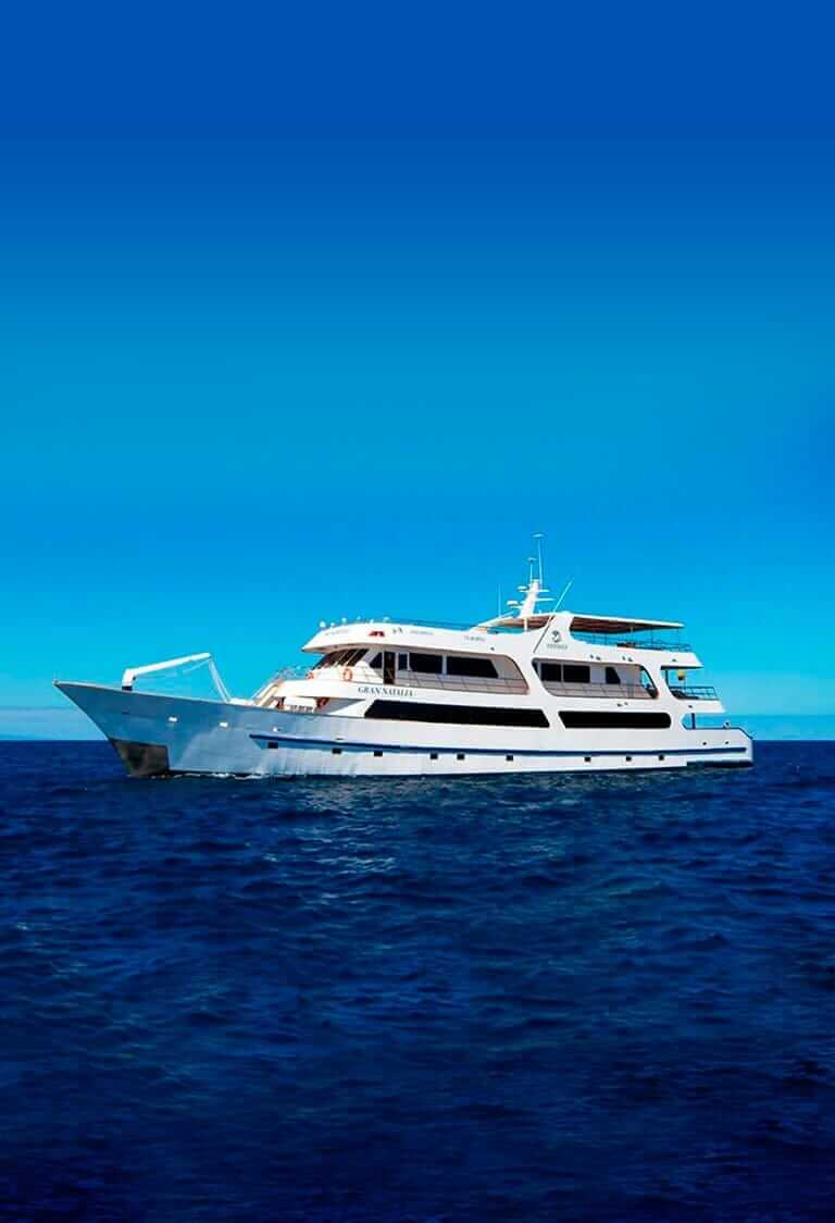 Odyssee-Yacht