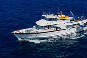 charter a cruise for your dream vacation to galapagos islands