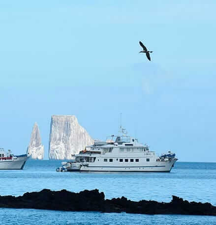 Galapagos Eilanden Cruises Last Minutes