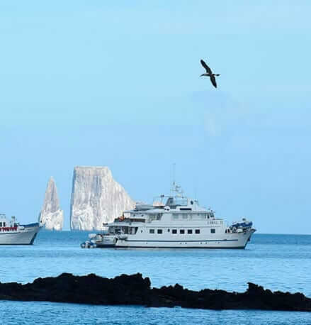 galapagos islands cruises best deals and tours 