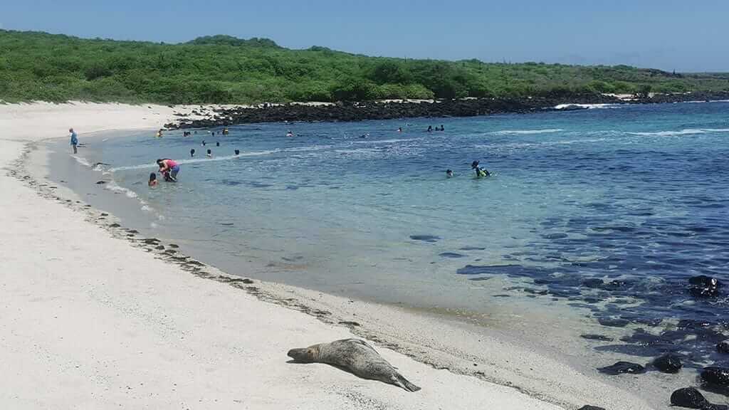 la loberia beach puerto baquerizo moreno galapagos