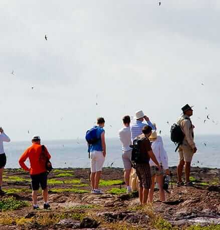 tourists birdwatching on a galapagos islands trip