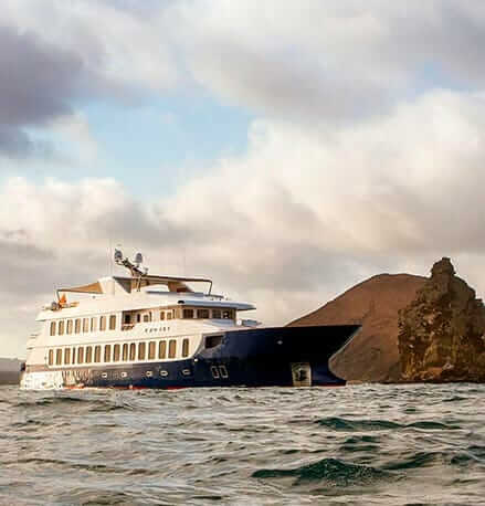 Galapagos-Inseln Kreuzfahrten beste Angebote und Touren