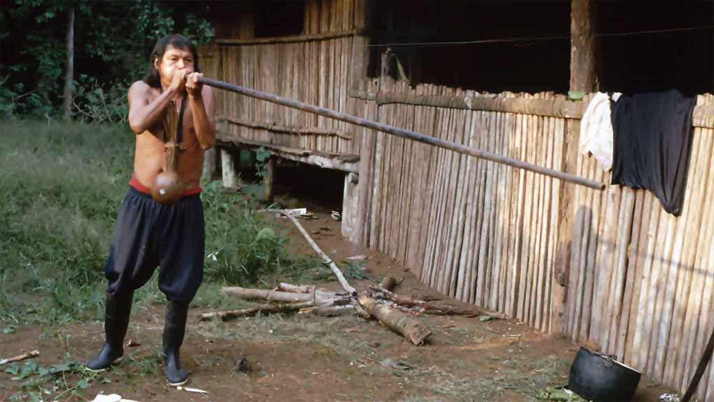 ecuador amazon indigenous people use blow dart guns to hunt