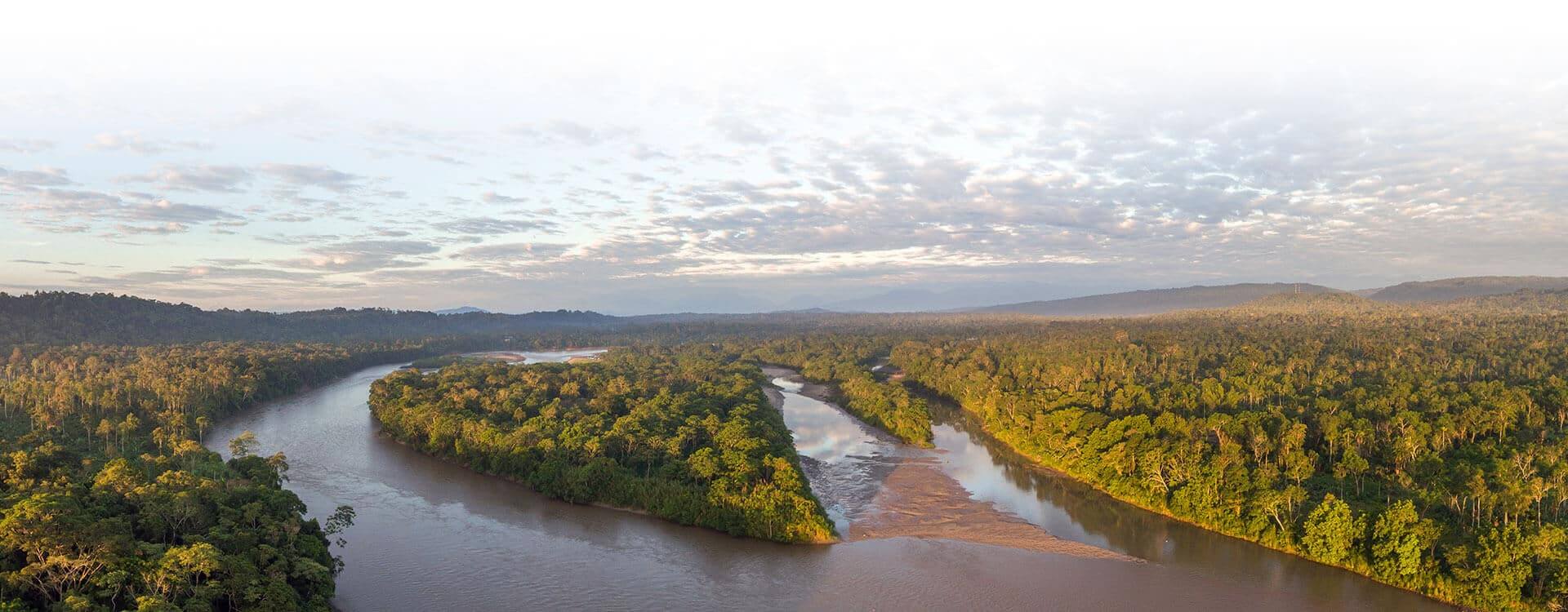 Amazonas-paralaje