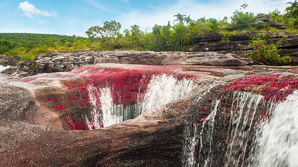 caño cristales vista hermosa waterfalls and red rocks colombia