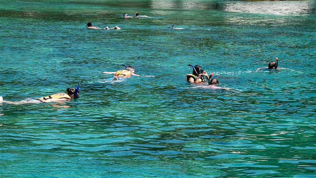 Groupe de plongée en apnée aux Galapagos vu au-dessus de la surface