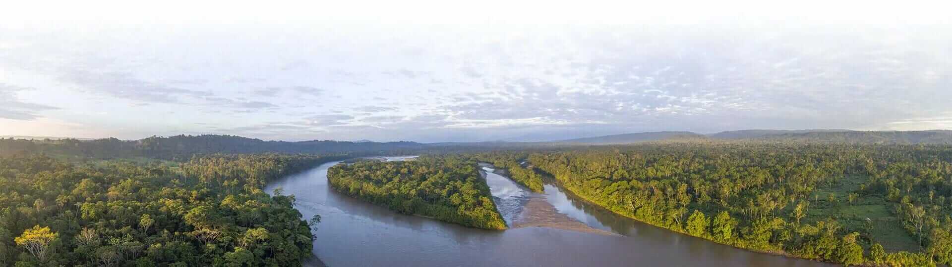 ecuador amazon rainforest banner