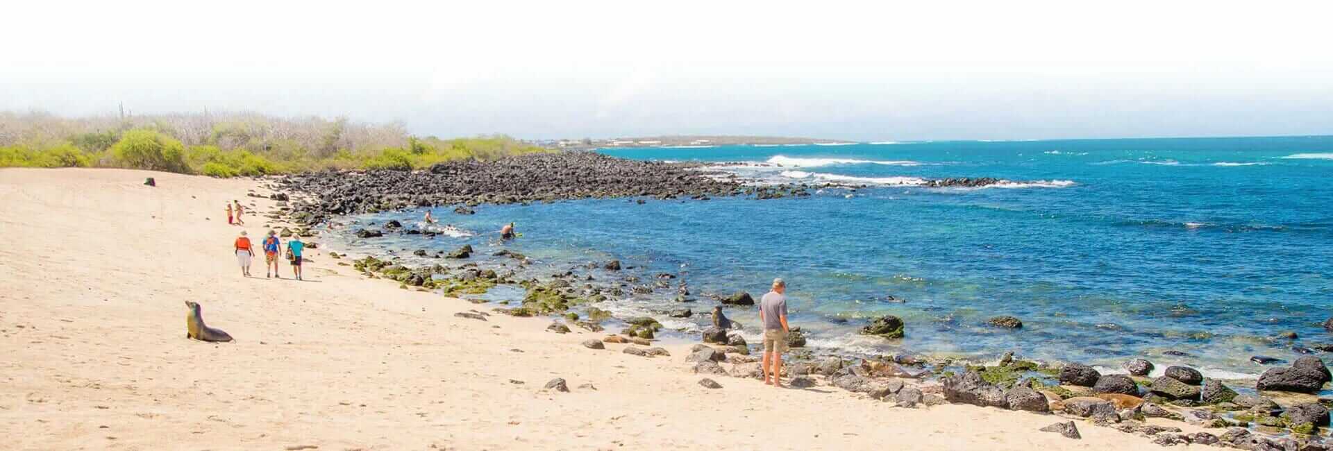 Goldener Strand der Galapagos-Inseln