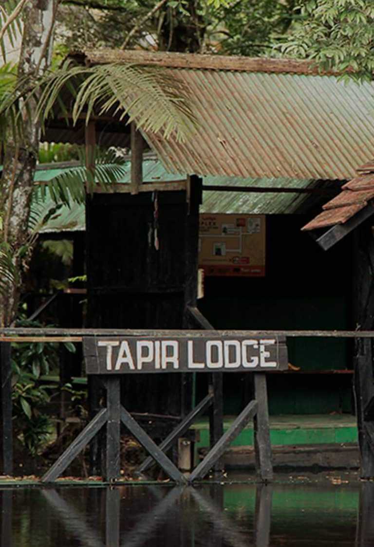 Amazon Tapir Lodge