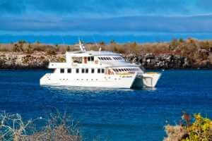 anahi cruise travel in galapagos
