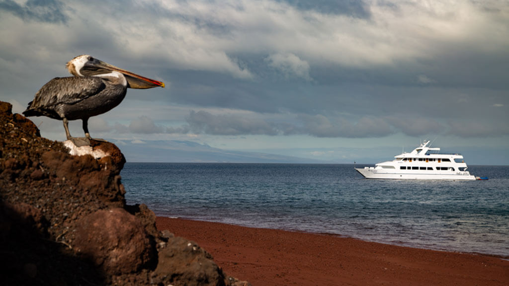 6-best-galapagos-luxury-cruises
