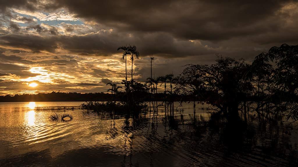 sunset on laguna grande cuyabeno wildlife reserve ecuador