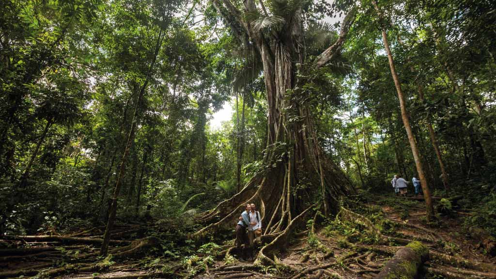 Delfin-I-cruise Activities-rainforest Trail-walk
